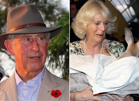 What would Camila say? Prince of Wales enjoys cuddle in New Zealand