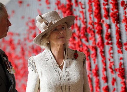 An unexpected party… Prince Charles joins The Hobbit for 64th birthday