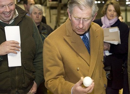 A royal farce: Palace forced to remove Duke of Cambridge pictures from website after security blunder