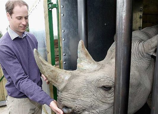 Duke and Duchess of Cambridge show support for injured sportsmen