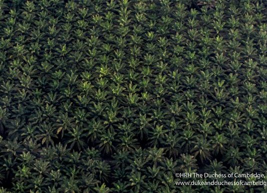The Queen welcomes Amir of Kuwait to Windsor Castle with pomp and ceremony