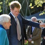 11143148_835632226473348_7354146949357647657_o