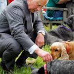 11221424_851969341506303_3191881300029396686_o