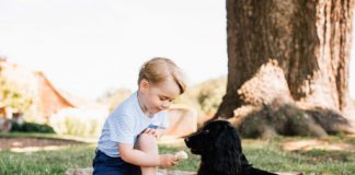 Prince George aged 3