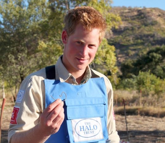 The Duke of Sussex is to Attend the Chatham House Africa Programme event