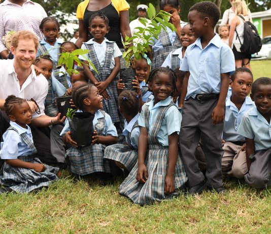 Prince Harry to Visit QCC Project Prince Harry to Visit QCC Project