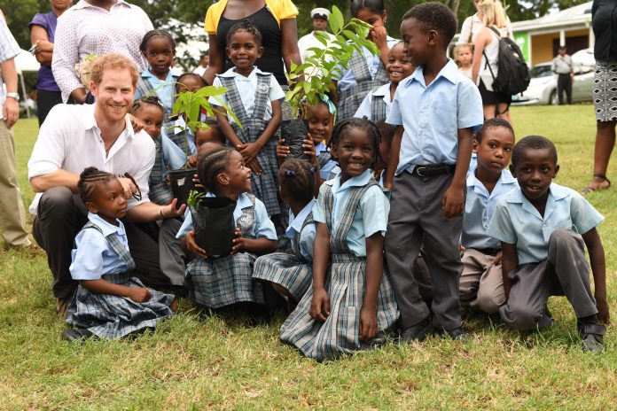 Prince Harry to Visit QCC Project