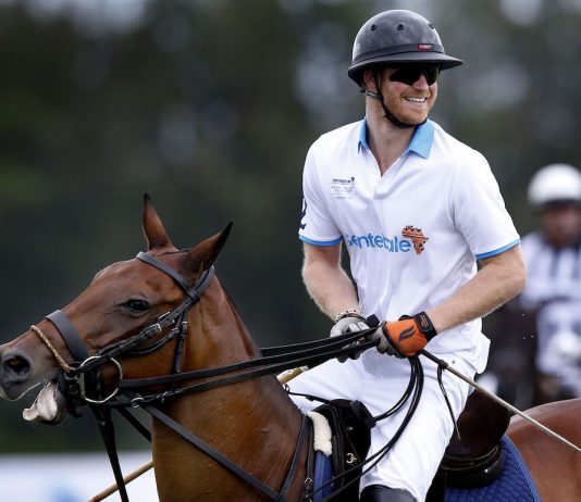 Duke of Sussex to Take Part in Sentebale Polo Cup Royal visit to Singapore and Australia
