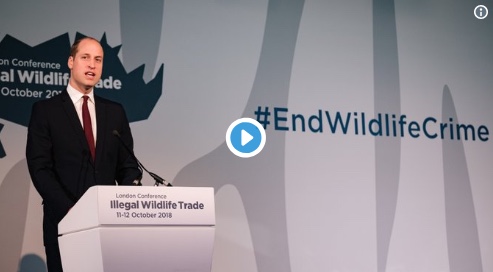 A speech by The Duke of Cambridge at the Illegal Wildlife Trade Conference