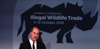 The Duke of Cambridge to Visit Microsoft HQ