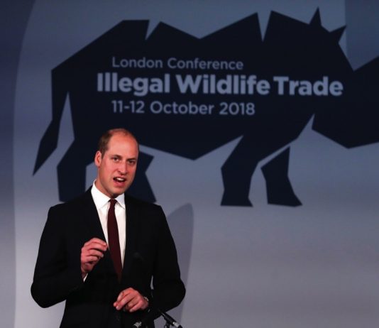 The Duke of Cambridge to Visit Microsoft HQ