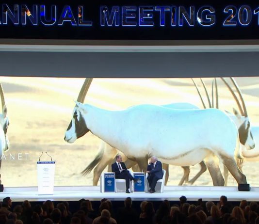 Duke of Cambridge Interviews Sir David Attenborough