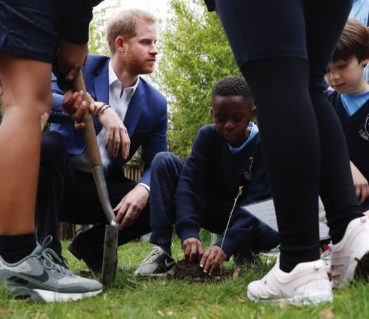 Duke of Sussex to Attend Commonwealth Youth Roundtable