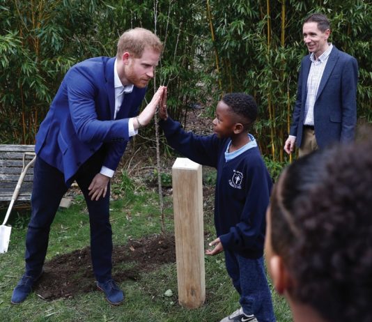 The Duke of Sussex to Attend Garden Party to Celebrate 70th Anniversary of the Commonwealth The Queen's Commonwealth Canopy initiative