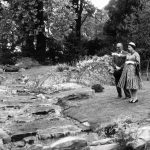 Horticulture – Chelsea Flower Show – London