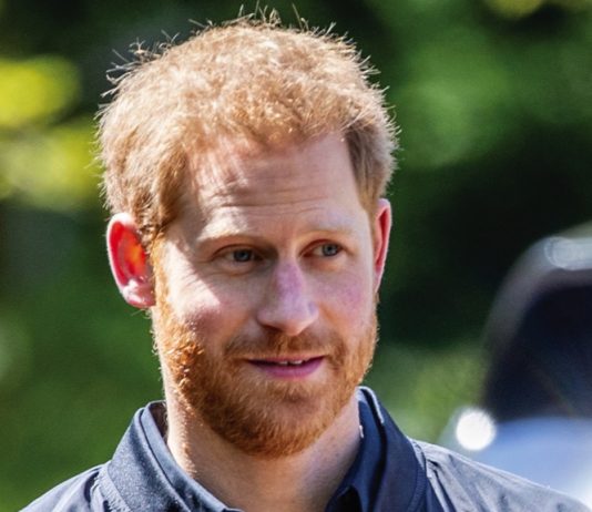 Duke of Sussex to Attend Boston Red Sox vs New York Yankees Baseball Game Prince Harry At Invictus Games - The Hargue