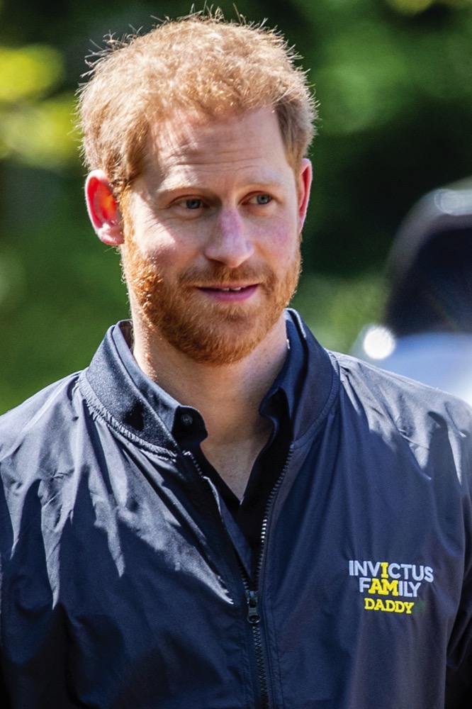 Prince Harry At Invictus Games - The Hargue