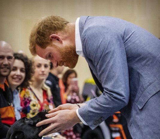The Duke of Sussex to Visit Sheffield Prince Harry