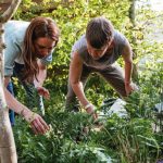Duchess of Cambridge RHS Chelsea Flower Show garden