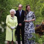 Chelsea Flower Show 2019