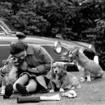 Royalty – Royal Windsor Horse Show – Virginia Water