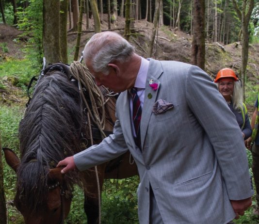 The Prince of Wales Visits Poundbury