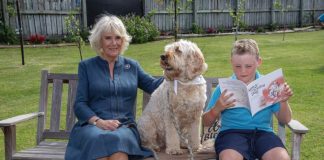 The Queen to Mark 15th Anniversary of Medical Detection Dogs The Duchess of Cornwall with therapy dog, Meg, and Liam Curtis at Kerikeri Primary School, the Bay of Islands, New Zealand