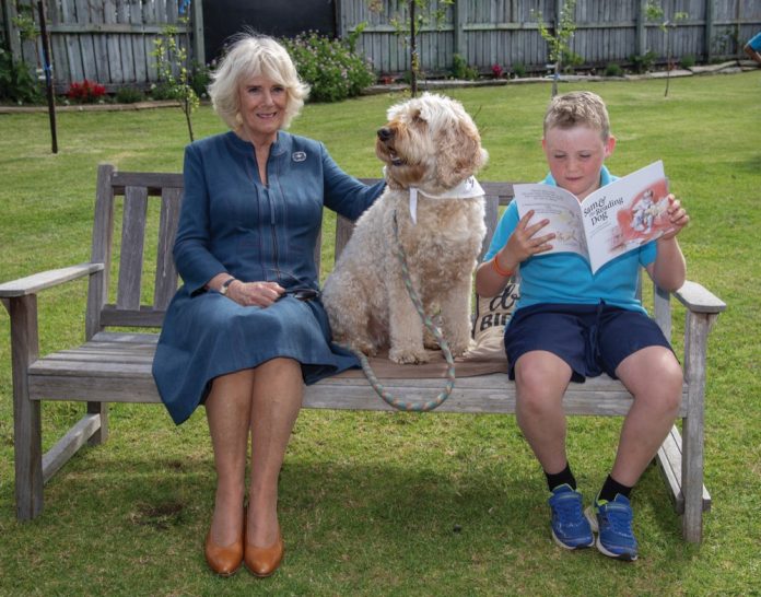 The Duchess of Cornwall with therapy dog, Meg, and Liam Curtis at Kerikeri Primary School, the Bay of Islands, New Zealand