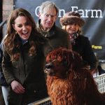 Royal visit to Northern Ireland