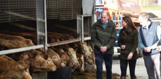 The Duke of Cornwall to Become Patron of We Are Farming Minds The Duke and Duchess of Cambridge hear more about Teagasc Research Farm's pioneering research to promote sustainable farming across Ireland, before they spoke to a group of farmers who have implemented the research into their own practices. 2020