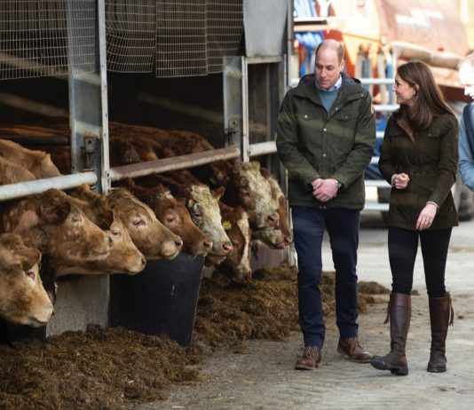The Duke of Cornwall to Become Patron of We Are Farming Minds The Duke and Duchess of Cambridge hear more about Teagasc Research Farm's pioneering research to promote sustainable farming across Ireland, before they spoke to a group of farmers who have implemented the research into their own practices. 2020