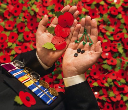 The Queen to Mark 100th Anniversary of the Poppy Factory Army veteran Shane Crowhurst pieces together a paper poppy at the Royal British Legion Poppy Appeal in Aylesford, Kent, which is one of the thousands of paper poppies that will be recycled through Sainsbury's after Armistice Day this year, 2014