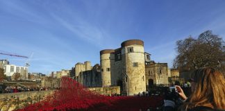 Poppy Fields at the Tower of London