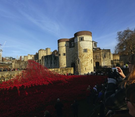 Poppy Fields at the Tower of London