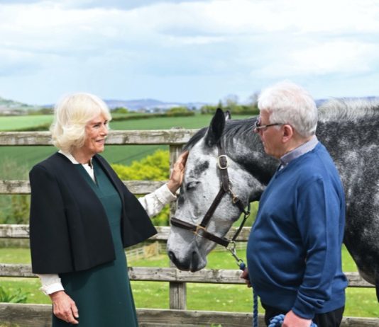 The Queen to Host Reception for British Equestrian Federation