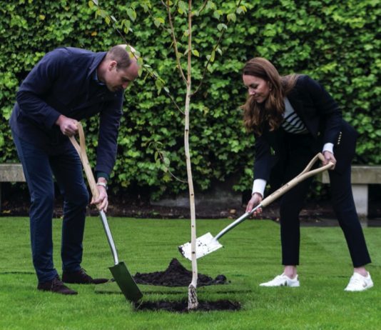 The Prince of Wales to Visit the Royal Berkshire Hospital The Duke and Duchess of Cambridge plant a tree during a visit to the University of St Andrews to meet students and hear about the ways in which they, and the university, have supported one another through the COVID-19 pandemic. May 26, 2021.