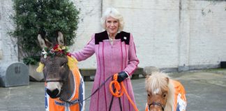 The Duchess of Cornwall extends Presidency of Brooke
