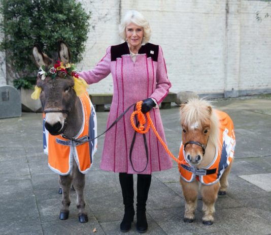 The Duchess of Cornwall extends Presidency of Brooke