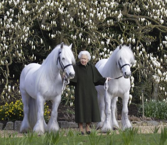 Image Released to Celebrate The Queen’s 96th Birthday Her Majesty The Queen celebrates 96th birthday Credit henrydallalphotography.com.
