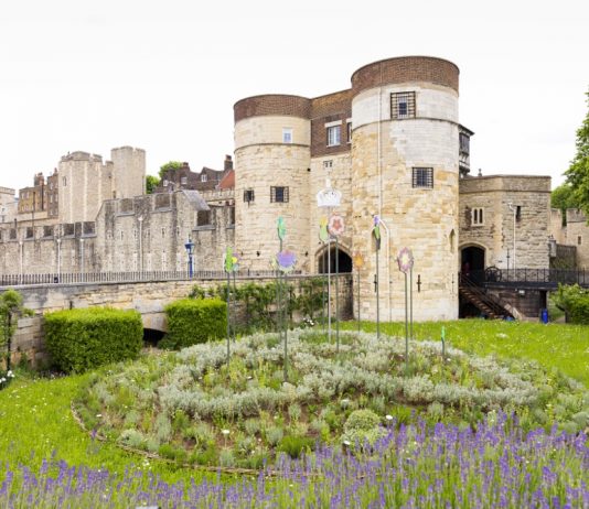 Slide into the Tower of London’s ‘Superbloom’ this Summer Superbloom at Tower of London May 22 © Historic Royal Palaces