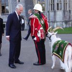 King Charles III and the Queen Consort meet Sheinkin IV, goat mascot for the Royal Welsh Third Battallion at Cardiff Castle in Wales. Picture date: Friday September 16, 2022.