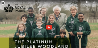 Sir David Attenborough Opens New Platinum Jubilee Woodland Sir David Attenborough Opens New Platinum Jubilee Woodland