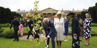 The King and Queen, joined by the King and Queen of Sweden, will Plant Swedish Oak Tree King Charles III and Queen Camilla plant a tree to mark the coronation at Hillsborough Castle, Co Down during a two day visit to Northern Ireland. May 24, 2023.