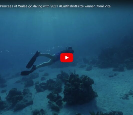 The Prince and Princess of Wales Go Diving with 2021 Earthshot Prize Winner Coral Vita 2021 Earthshot Prize winner Coral Vita