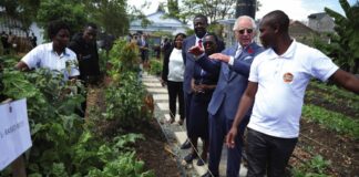 King to Open First Two Coronation Food Hubs King Charles III during a visit to the City Shamba urban farm project at the Mama Lucy Kibaki Hospital in Nairobi, on day one of the State Visit to Kenya. City Shamba serves as a model farm and information centre for the local community, and provides food to the hospital. October 31, 2023.