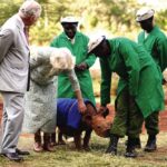 King Charles III and Queen Camilla during a visit to Sheldrick Wildlife Trust Elephant Orphanage in Nairobi National Park, to hear about the trust’s work in the conservation and preservation of wildlife and protected areas across Kenya, on day two of the