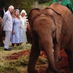 King Charles III and Queen Camilla during a visit to Sheldrick Wildlife Trust Elephant Orphanage in Nairobi National Park, to hear about the trust’s work in the conservation and preservation of wildlife and protected areas across Kenya, on day two of the