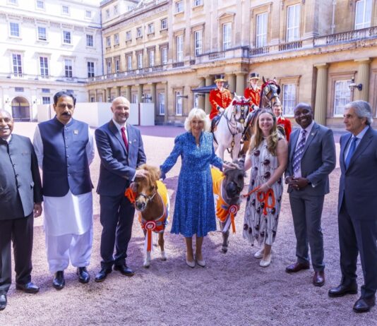 Queen Hosts Reception for 90th Anniversary of Brooke Her Majesty The Queen, alongside Brooke representatives, and Alfie (donkey) and Lala (horse. Photo credit: Ian Jones.