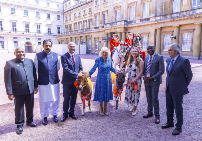 Her Majesty The Queen, alongside Brooke representatives, and Alfie (donkey) and Lala (horse. Photo credit: Ian Jones.