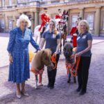 Her Majesty The Queen, alongside Brooke representatives, and Alfie (donkey) and Lala (horse.   Photo credit: Ian Jones.